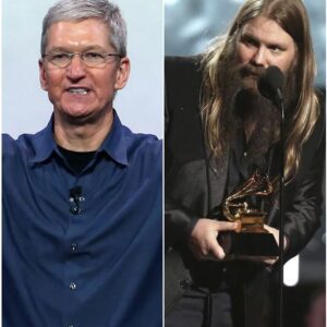 🎧 The $200 Million Crossroads: Tim Cook, Chris Stapleton, and the Price of Public Allyship nh