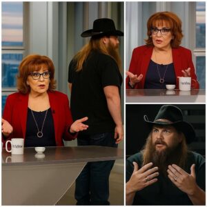 Chris Stapleton’s Silent Masterclass in Dignity: The Day He Walked Off The View Without Saying a Word nh