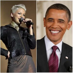 P!nk's $12 Million Harmony: Answering Obama's Hunger Call with a Voice That Feeds Souls lht