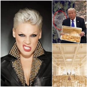 FICTIONAL NEWS REPORT: P!nk Ignites the New York Gala With Explosive Speech Calling Out “Lavish Politics” — A Moment That Set the Nation on Fire nn
