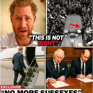 BREAKING: Priпce Harry HURRIES Back to the UK as Palace Issυes FINAL DECREE to Remove All Royal Titles?! 472