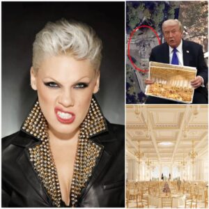 P!nk's Fiery Indictment: "He'll Save You a Table" – The Gala Speech That Turned Trump's Lavish Legacy into a Lightning Rod