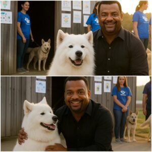 Alfonso Ribeiro Rescues 47 Dogs From a Closing Shelter — What He Did Next Shocked Everyone a1