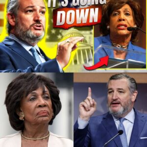 YOU WON’T BELIEVE WHAT SENATOR TED CRUZ JUST “EXPOSED” ABOUT MAXINE WATERS — SHE’S FINISHED!- HELEN