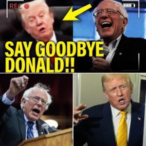 BREAKING NEWS: TRUMP IN FULL PANIC MODE AS DIE-HARD MAGA SUPPORTERS MASS-DEFECT TO BERNIE SANDERS rinbeo