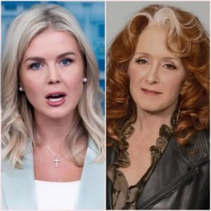 “ALLERGIC TO HONESTY?” — Bonnie Raitt Leaves Karoline Leavitt Speechless on Live TV, Sparks Internet Inferno! 🔥.Krixi