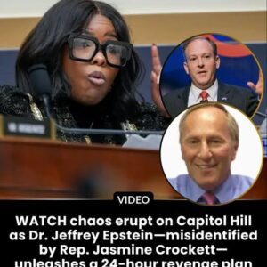 Neurosurgeon Jeffrey Epstein Floats ‘Clever Revenge’ After Rep. Crockett Misidentifies Him as Notorious Sex Offender - nabeo