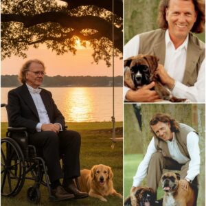 André Rieu's Road to Recovery: "I Still Have a Long Road Ahead – But I Believe in Healing Through Love and Music" lht
