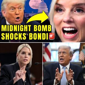BREAKING NEW: P.A.M B.O.N.D.I’s Career IMPLODES as Victim GOES PUBLIC with SH0CKING ACCUSATIONS! — T.r.u.m.p’s AG Pick Humiliated in Midnight Interview, nabeo
