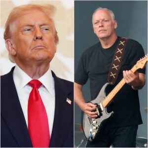 🔥 BOOM! David Gilmour Just Set the Internet on Fire — and Washington Is Shaking!