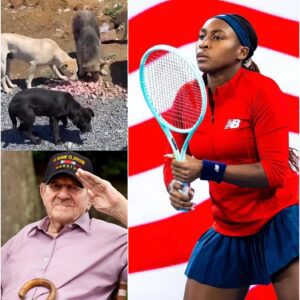 BREAKING NEWS: The Mystery Behind Coco Gauff's $10 Million Gift That Shakes America 😢 No one knows the real reason why star Coco Gauff quietly spent $10 million to build a shelter for animals and the homeless