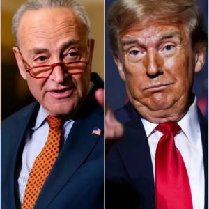 “I WON’T LET BILLIONAIRES BUY MY CONSCIENCE.” — In a stunning live broadcast, Senate Majority Leader Chuck Schumer announced he would pull his public-facing speeches