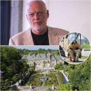 DAVID GILMOUR TURNS $39 MILLION INHERITANCE INTO “THE FREEDOM FARM” — A SANCTUARY FOR THOSE WHO SERVED AND STRUGGLED