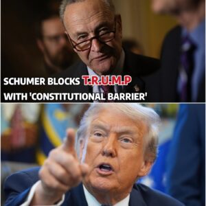 🔥 RED ALERT SENATE: SCHUMER BLOCKS T.R.U.M.P WITH 'CONSTITUTIONAL BARRIER' DECLARATION THAT MAKES THE WHOLE ROOM BLACK