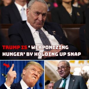 Chuck Schumer and Democrats are once again playing dirty politics with the American people. Schumer’s recent accusations that President Trump is