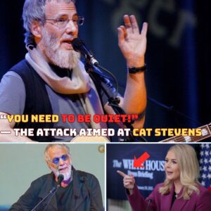 🔥 “YOU NEED TO BE QUIET!” — The attack aimed at Cat Stevens backfired spectacularly when he calmly read the entire remark aloud on live television, leaving the entire United Kingdom in stunned silence.