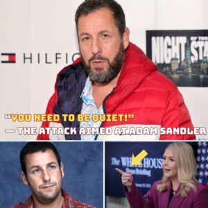 🔥 “YOU NEED TO BE QUIET!” — The attack aimed at Cat Stevens backfired spectacularly when he calmly read the entire remark aloud on live television, leaving the entire United Kingdom in stunned silence.