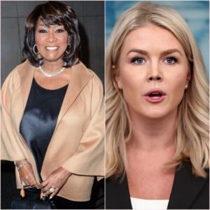 Twelve Words That Bent the Air: David Gilmour's Silent Symphony Against the Noise