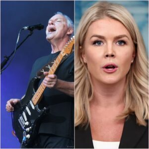 Twelve Words That Bent the Air: David Gilmour's Silent Symphony Against the Noise