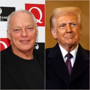 Echoes of Defiance: David Gilmour’s Stratocaster Soul Against the Red-Tie Storm