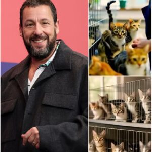 💖 Adam Sandler Opens “Whisker Haven” Animal Sanctuary in Philadelphia