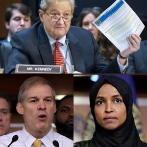 CONSTITUTIONAL COLLISION: Jordan's Act Threatens 14 Congressmen, Targets 'Anchor-Baby' Loopholes...