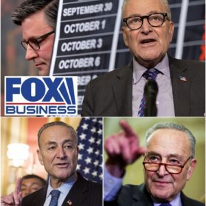 MOTIVE EXPOSED: GOP lawmaker reveals why Schumer is blocking a shutdown deal -