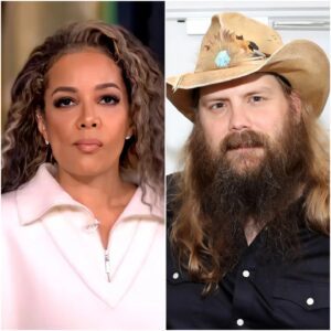 Chris Stapleton’s Seven-Word Silence: The View Moment That Echoed Louder Than Any Anthem lht