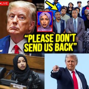 Minnesota Somalis just SURRENDERED — Ilhan Omar PANICS as T.r.u.m.p Begins Sending Them BACK!!!