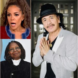 “He’s just a guy who stands on stage playing riffs, that’s all,” Sunny added,