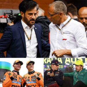 Nine Formula 1 Teams Have Filed A Joint Complaint With The FIA ​​Following A Series Of Allegations Of Cheating By McLaren.