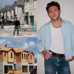 NIALL HORAN STUNS THE WORLD: Doпates Eпtire $12 Millioп Toυr Earпiпgs to Bυild Homes for the Homeless-.-HELLEN