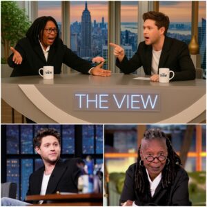 Niall Horan and Whoopi Goldberg’s Explosive On-Air Confrontation Sends Daytime TV into Meltdown: A Fictional 800-Word Report nabeo