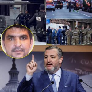 TED CRUZ ERUPTS: “A TRUE VIPER IN THE BOSOM!” — WHEN A SENATOR’S ROAR BECOMES THE VOICE OF A NATION DONE WITH SILENCE -’tt