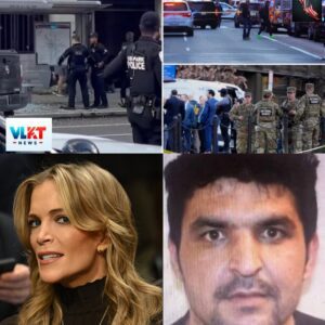 “IT'S LIKE FEEDING YOUR OWN SLEEVE,” MEGYN KELLY DECLARES — A NATIONAL SECURITY DEBATE RESURFACES -’tt