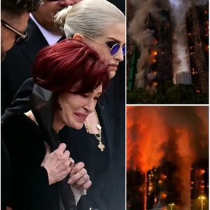 Hong Kong's Tai Po Fire Tragedy: 44 Dead, 279 Missing – A Heartbreaking Toll in a City on the Brink lht