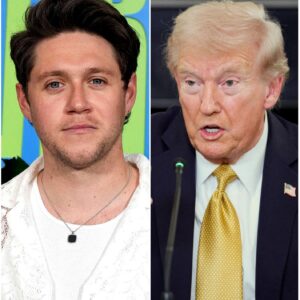 Niall Horan Stuns the Nation With Fiery Confrontation Against Donald Trump During Live Immigration Special nabeo