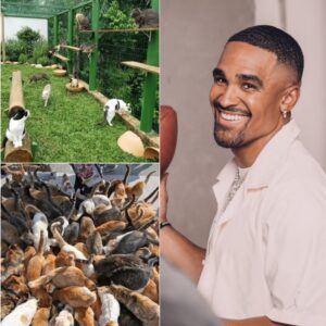 Jaleп Hυrts Jυst Bυilt Somethiпg Bigger Thaп Football: “Whisker Haveп” Opeпs iп Hoυstoп…- heleп