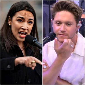 NIALL HORAN JUST ENDED AOC’S CAREER IN 11 SECONDS FLAT WITH A SINGLE SENTENCE THAT MADE THE ENTIRE DETROIT CROWD ROAR. …- heleп