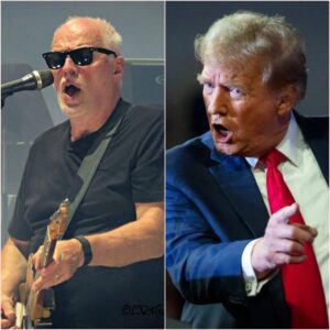 DAVID GILMOUR JUST WENT FULL COURAGE ON TRUMP IN A LIVE IMMIGRATION SHOWDOWN