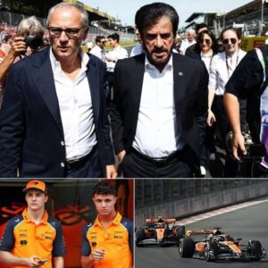 SHOCKING MORNING NEWS: “THE TRUTH CANNOT BE HIDDEN ANYMORE” — FIA president breaks the suspense, announces official findings after McLaren