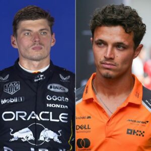 “IDIOT” Max Verstappen called Lando Norris a cheater on live TV, and Max Verstappen’s more surprising answer stunned everyone