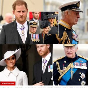 “AFTER EVERYTHING THEY CAUSED — HARRY & MEGHAN DEMAND AN APOLOGY FROM THE ROYAL FAMILY… AND THEY’RE FURIOUS THEY STILL HAVEN’T GOT ONE.” 472