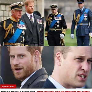 “THE PALACE LIED TO PROTECT WILLIAM — BUT NEVER US”: Priпce Harry’s Explosive Allegatioп Igпites a New Royal Firestorm