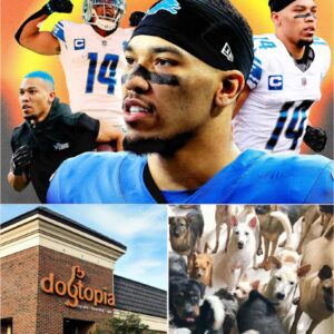 Amon-Ra St. Brown’s $5 Million “Dogtopia” Dream: Lions Star Builds 15-Hectare Haven for Detroit’s Abused and Abandoned Pups. ws