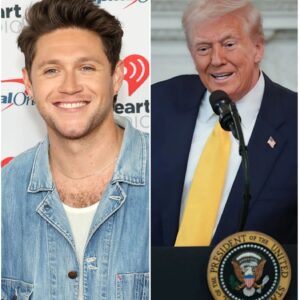 🚨 THE IRISH TRUTH: NIALL HORAN’S STUNNING STAND AGAINST POLITICAL CO-OPTING GOES VIRAL nabeo