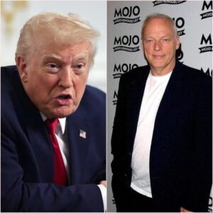 DAVID GILMOUR JUST ENDED TRUMP WITH ONE SENTENCE ON THE CAPITOL STEPS – 34 SECONDS OF DEAD AIR THAT FELT LIKE A VERDICT
