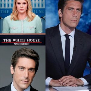 BREAKING: DAVID MUIR READS KAROLINE LEAVITT’S BIO LIVE ON AIR — AND HIS FINAL LINE, “SIT DOWN, BABY GIRL,” JUST SHUT DOWN THE Internet...
