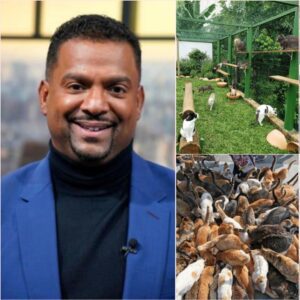 Paws and Purpose: Alfonso Ribeiro's "Whisker Haven" Ushers in a New Era for Philadelphia's Feral Felines