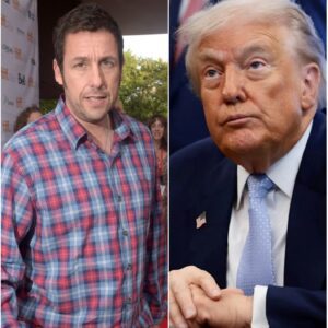 BOOM! ADAM SANDLER Just Set the Internet on Fire — And Washington Is Shaking!